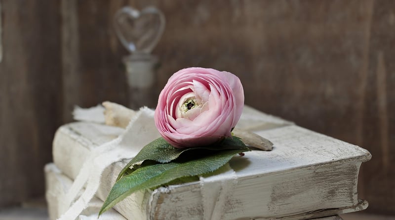 Rustic Elegance