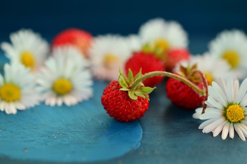 Organic Berries